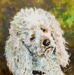 Just-A-Poodle