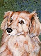 In Memory of Bing