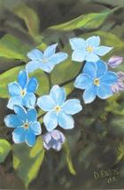 Forget-Me-Not