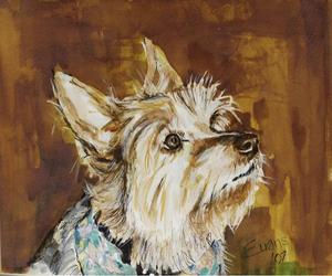 Terrier On Guard