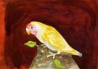 Feathered Friend