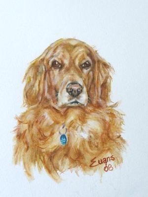 Irish Setter