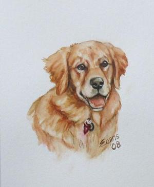 Golden Pup