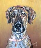 Great Dane