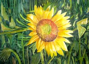 Sunny Delight