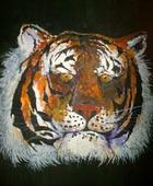 Bengal Tiger