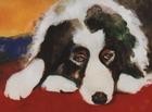 My Melancholy Dog