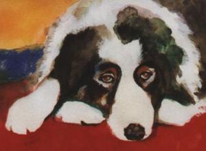 My Melancholy Dog