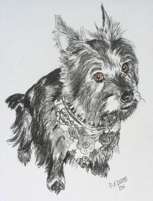Chester