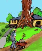 I want to plant a tree today