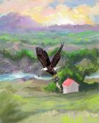 Book Cover for The Great Outdoors that Daniel Drew