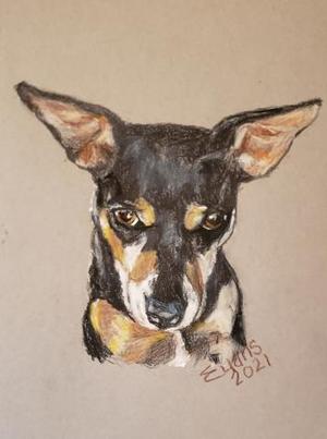 Young Bruno