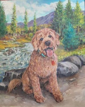 Murphy
