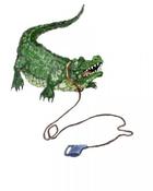 The New Pet