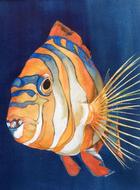 Hungry Fish