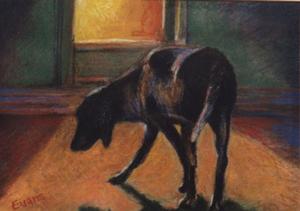 Rex