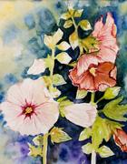 Holly Hocks