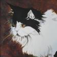 Cleo
