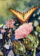 Butterfly On An Artichoke