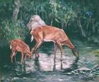 As The Deer Panteth