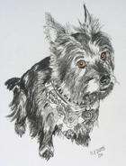 Chester