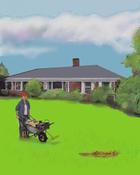 planting new grass seed...image one