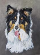 Colby