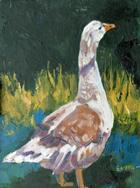 Duck Duck Goose