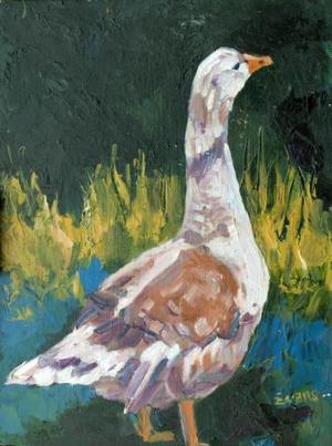 Duck Duck Goose