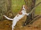 Treeing A Squirrel