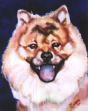 Chow Chow