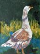 Duck Duck Goose