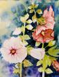 Holly Hocks